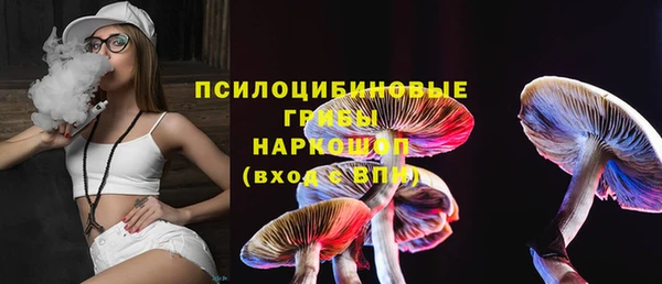 прущая мука Абаза