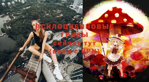 шишки Абдулино
