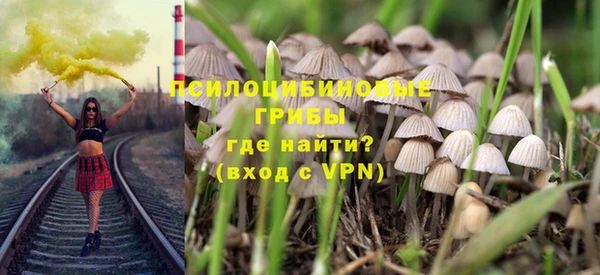 шишки Абдулино